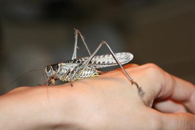 Прикрепленное изображение: s4.jpg